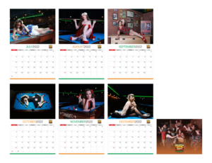 Billiards 50th Anniversary Calendar | Print Design by nng